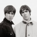 오아시스(oasis) 이미지