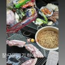 준성농장 | 8월 일상 총집편