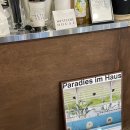 햇살테라스 이미지