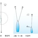 이묘박과 쌍묘박 이미지