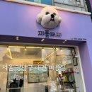 퍼플퍼피 이미지