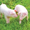 한이농장 이미지