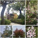 꿈에그린목장 이미지