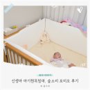 손에 잡히는세계사B | 신생아 아기 원목침대 매트리스 숲소리 포미오 팜프링 후기