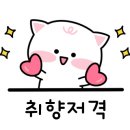 펫츠아일랜드 이미지