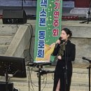 엄채영 카카오 검색결과
