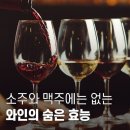 와인의 숨은 효능 이미지