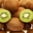 모블리스 이미지