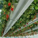 여주-0480 이미지