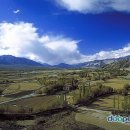 뽀삐뽀삐 이미지