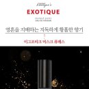 미미메종