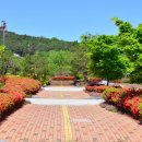 휴파크(홍길동테마파크 자동차야영장) | 광주근교 가볼만한 곳 가족여행지로 좋은 장성 홍길동테마파크