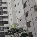 평산회야로 Daum카페