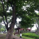 토요서예교실 이미지