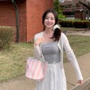 썸머짐 | [헤이썸머] 썸머 스트라이프 백 후기 / 피크닉 에코백 추천