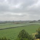 일출스테이 이미지