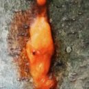 김종훈 농장 이미지