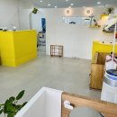 토리애견샵 이미지