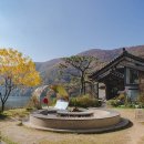 호수정감 이미지