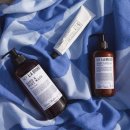 로즈비치 이미지