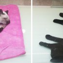 라페스타 동물병원 이미지