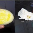중국의 가짜 오리알 이미지
