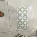 달빛 302 이미지