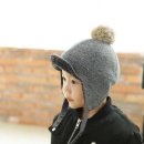 애플캣