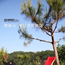 코지우드(COZY WOOD)