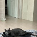 스마트해법수학남원주점 학원 이미지