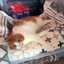 포항시남구4 이미지