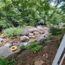 고씨동굴펜션 이미지