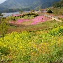 요산마을 이미지