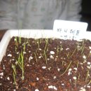 천냥백화점 이미지