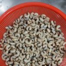 영천별빛굼벵이농장 이미지