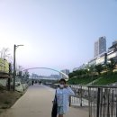 하이엔드독 강아지고양이 미사본점 네이버블로그