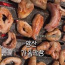 양산차 수리맨 | 양산토박이가 추천하는 막창 맛집 ‘가음막창 북정점’ 솔직후기