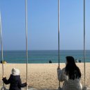 솔향약국 이미지