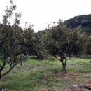 가족키즈펜션안덕 이미지