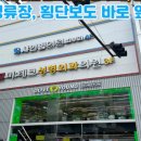 올리브영 앞 횡단보도 이미지