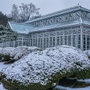 설경 이미지