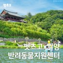 댕토피아 이미지