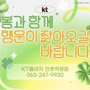 올리브영전주안골