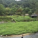 안향 초상 | 소수서원 관람 후기｜입장료 50% 할인·동선 꿀팁
