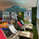 피터펫 미사점 이미지