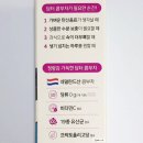 담터 포켓몬 스티커가 들어있는 콤부차 포도 25g 내돈내산 먹어본 후기