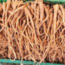 보성상회 이미지