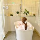 춘성 | 강원도 고성 펜션 추천 봉포해수욕장 근처 숙소 춘성