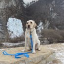 푼타하우스 이미지