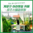 카페 드 레떼 | 테라스가 있는 아라뱃길 플라워 카페 로즈스텔라정원